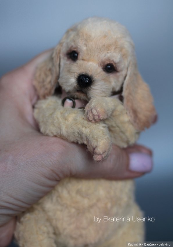 Тедди спаниель — Авторские мишки Тедди и друзья: фото (фото 6)