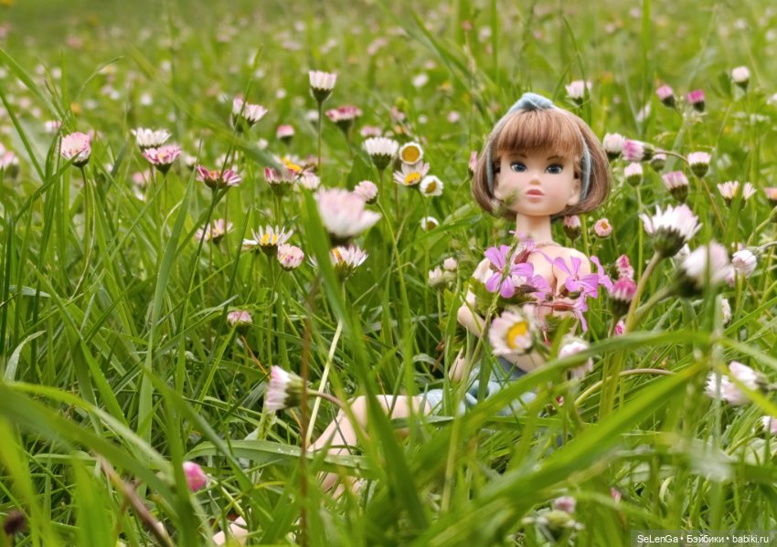 Момошечка-Хаврошечка — Куклы Momoko и Ruruko (Petworks (фото 6)