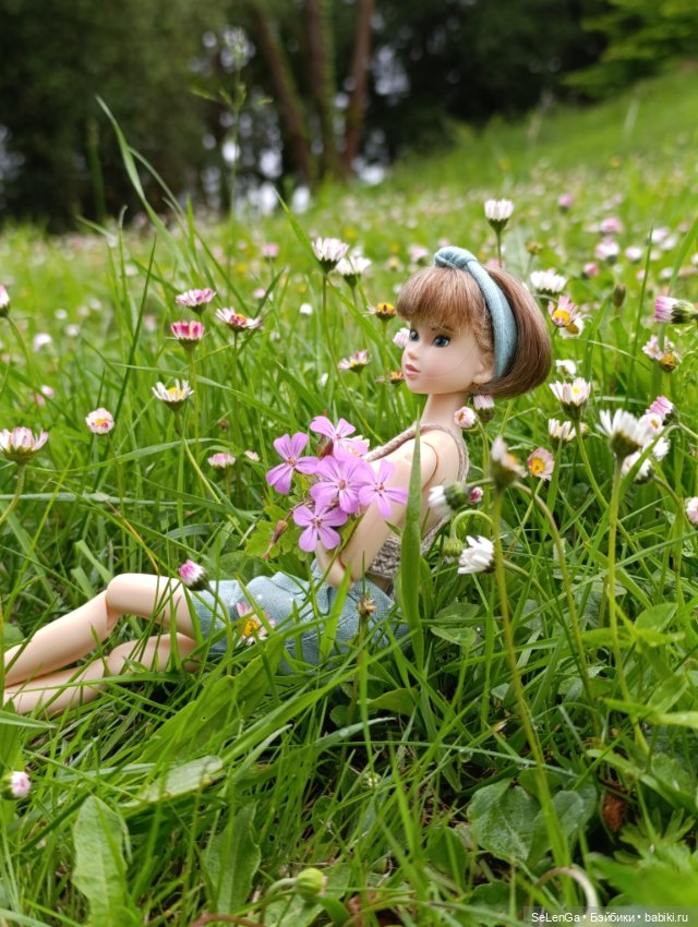 Момошечка-Хаврошечка — Куклы Momoko и Ruruko (Petworks (фото 7)