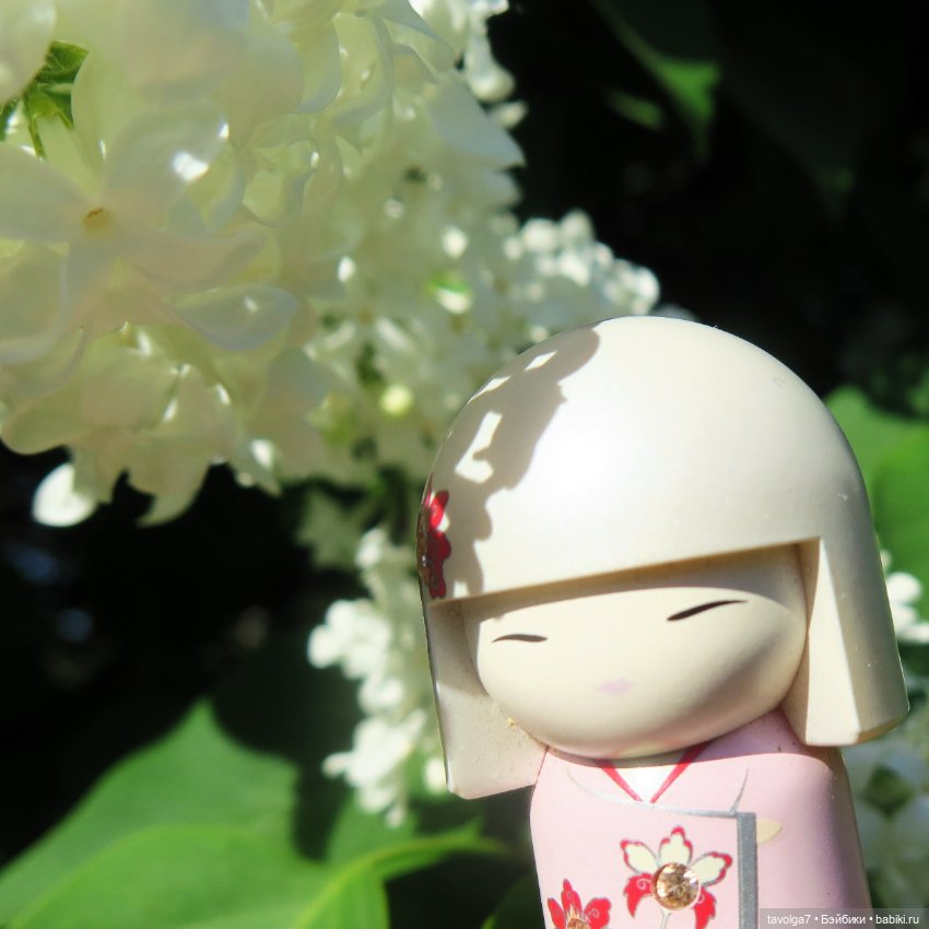 Сиреневый сад и остальная компания (фото 9)