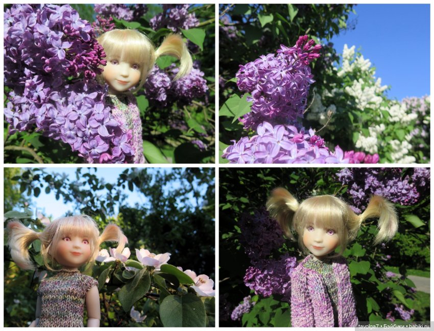 Сиреневый сад и остальная компания