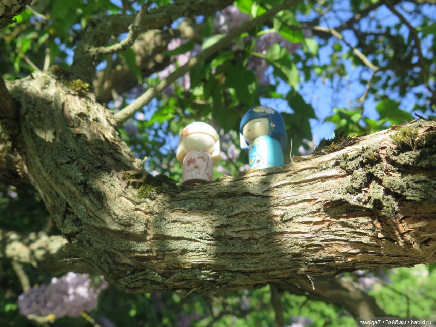 Сиреневый сад и остальная компания