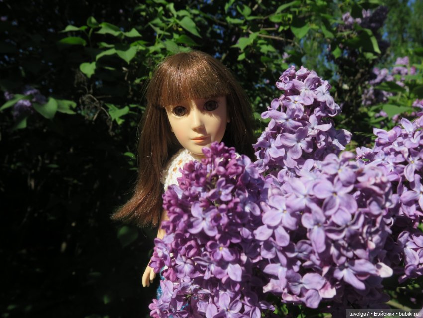 Сиреневый сад и остальная компания (фото 3)