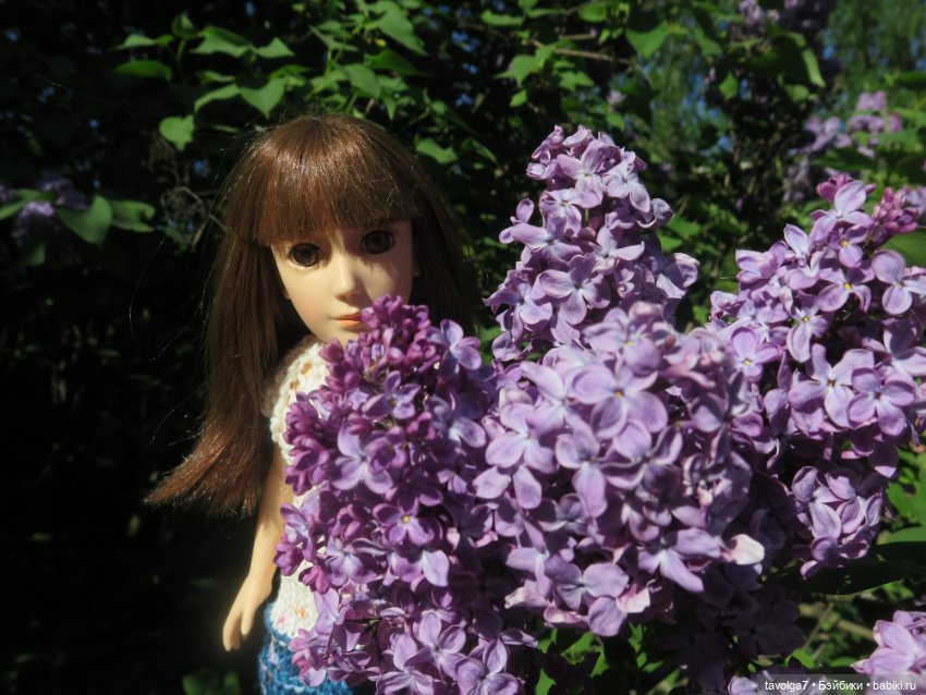 Сиреневый сад и остальная компания (фото 4)