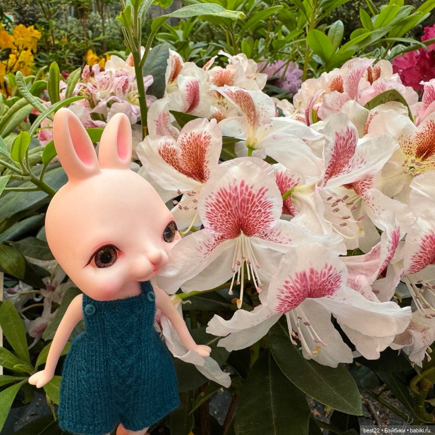 Кролик Tokissi — Азиатские виниловые куклы (разное): Китай (фото 9)