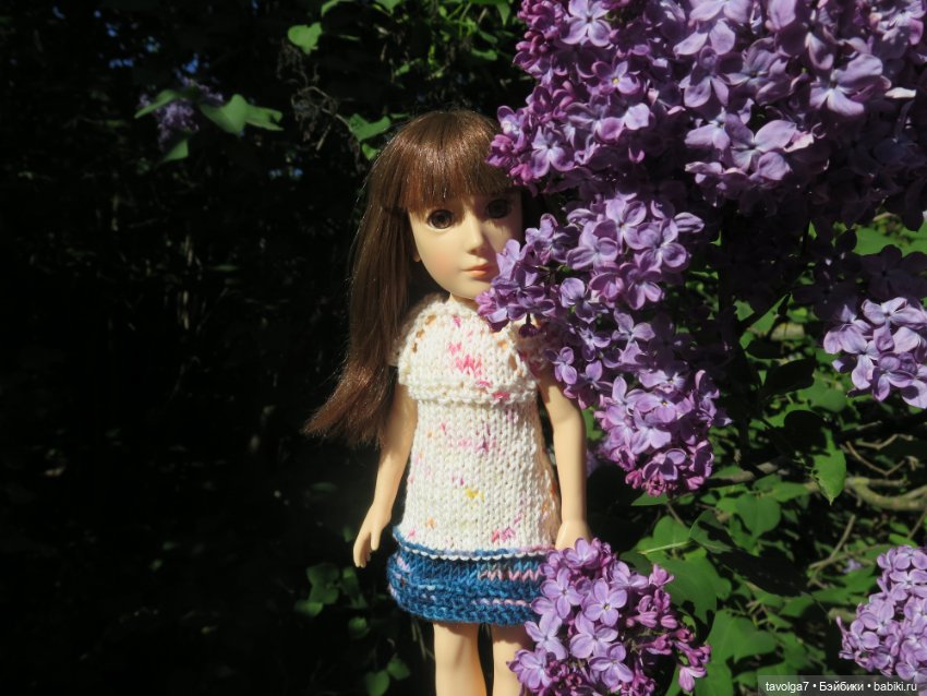 Сиреневый сад и остальная компания (фото 5)