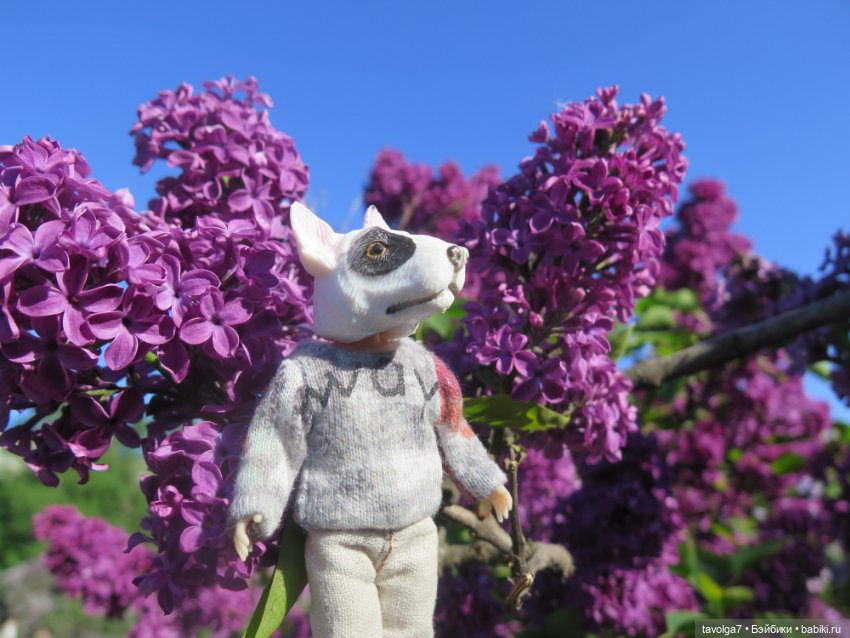 Сиреневый сад и остальная компания