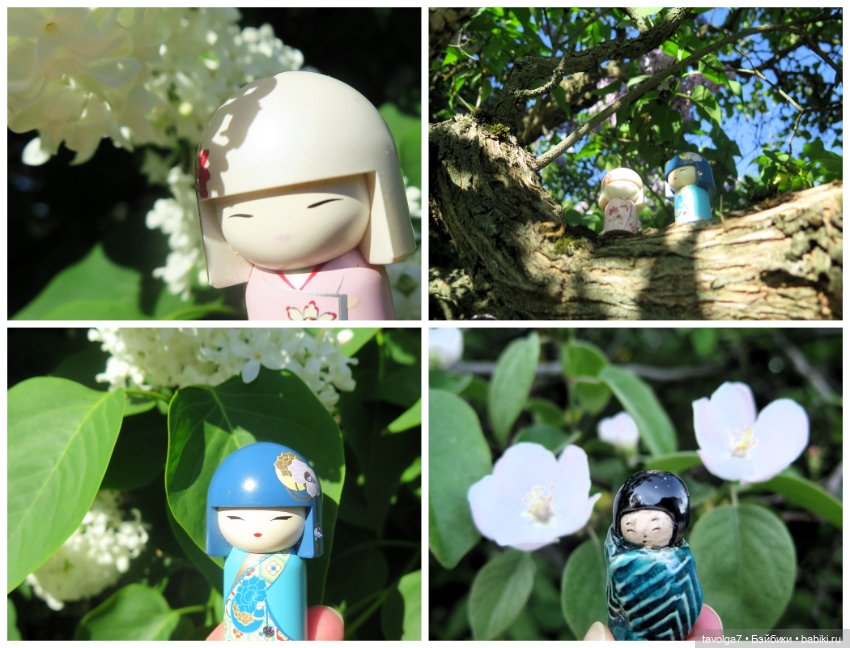 Сиреневый сад и остальная компания