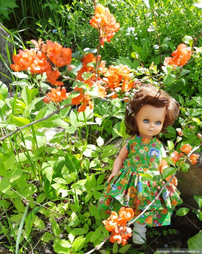 Начало цветочного лета🌞🌸🍀🌷🌼 (фото 6)