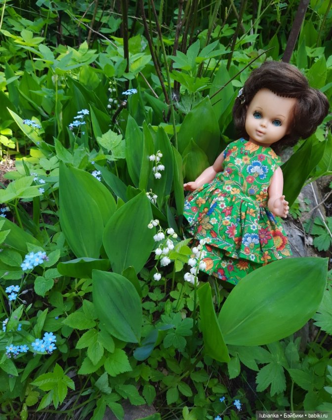 Начало цветочного лета🌞🌸🍀🌷🌼 (фото 2)