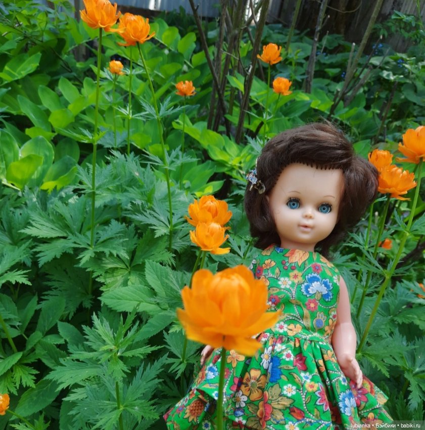 Начало цветочного лета🌞🌸🍀🌷🌼 (фото 8)