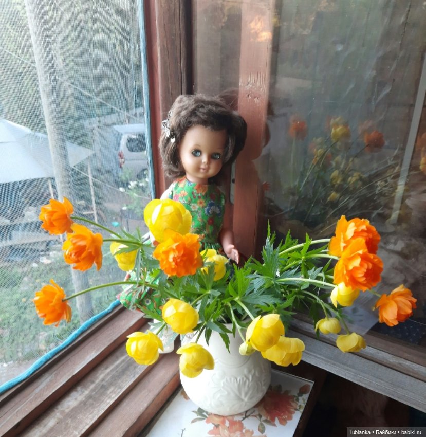 Начало цветочного лета🌞🌸🍀🌷🌼