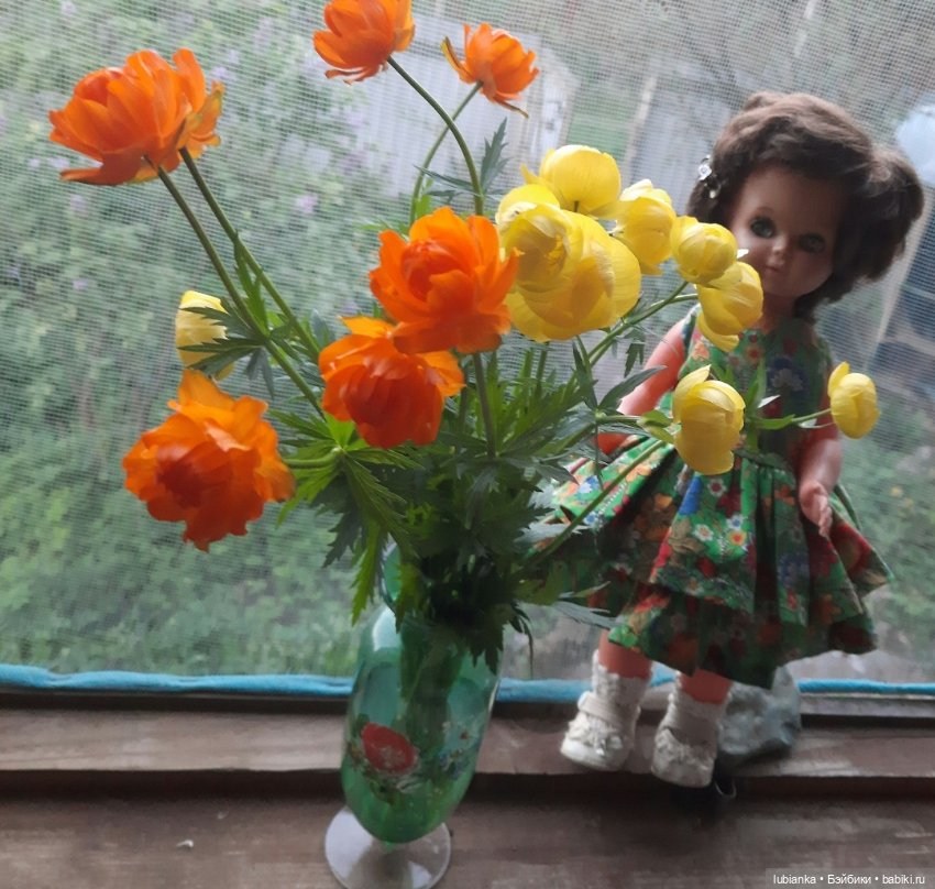 Начало цветочного лета🌞🌸🍀🌷🌼