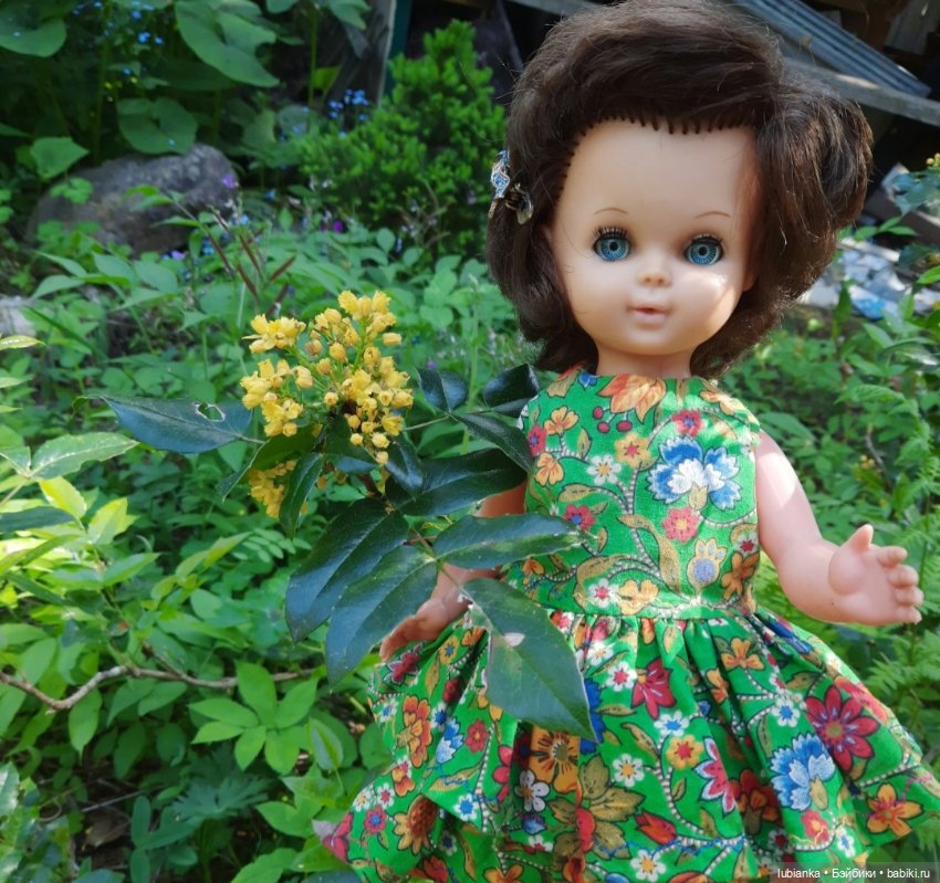 Начало цветочного лета🌞🌸🍀🌷🌼 (фото 5)