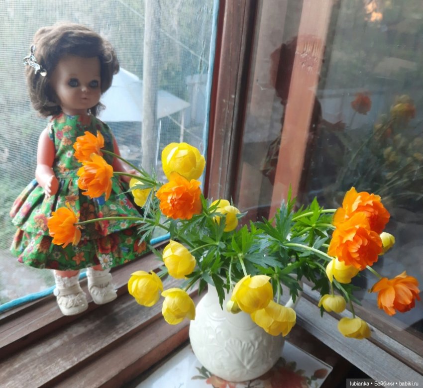 Начало цветочного лета🌞🌸🍀🌷🌼