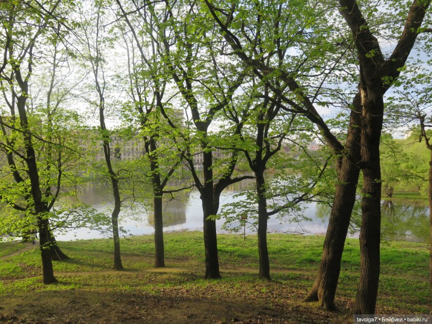 Маленькие русалочки Seasters Лейла и Джоли