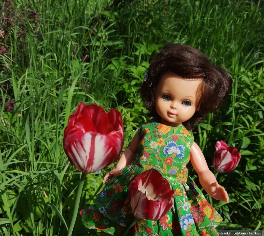 Начало цветочного лета🌞🌸🍀🌷🌼 (фото 3)