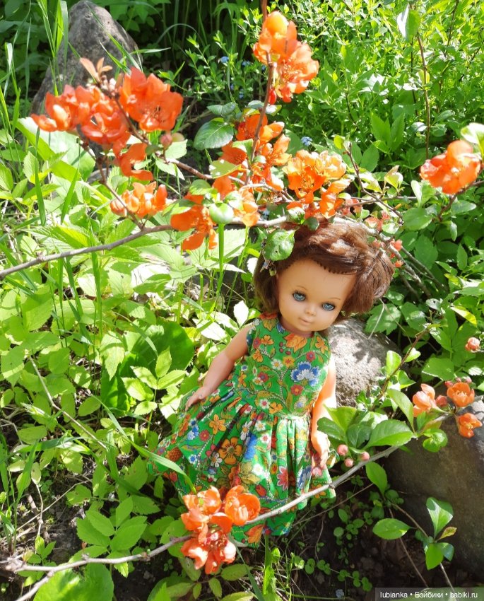 Начало цветочного лета🌞🌸🍀🌷🌼 (фото 7)