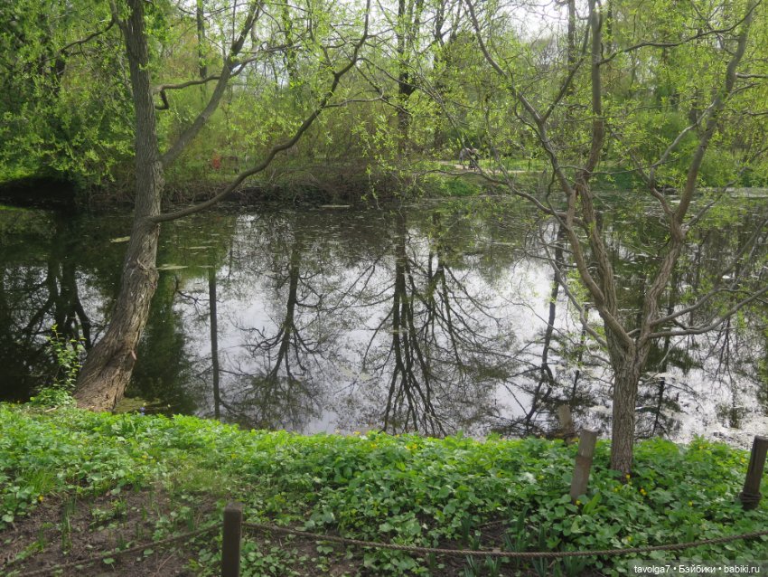 Маленькие русалочки Seasters Лейла и Джоли