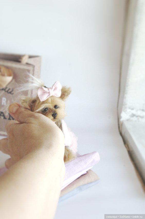 Маленькая пушистая делавуська (фото 9)