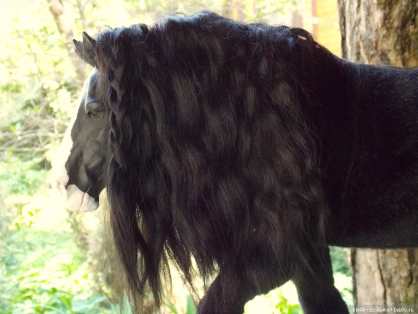 Гамлет — Домашние фото авторских игрушек: Тедди (фото 3)