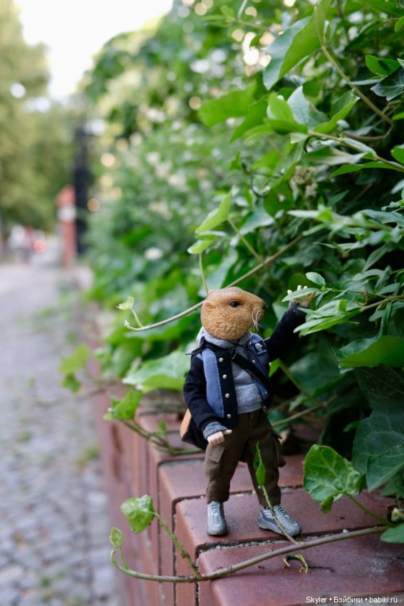 Небольшая вечерняя прогулка с сусликом Поттом☺️