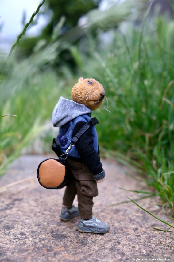 Небольшая вечерняя прогулка с сусликом Поттом☺️ (фото 7)