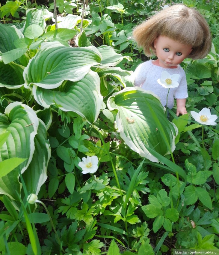 Белое платье и белые цветы🤍🤍 (фото 8)