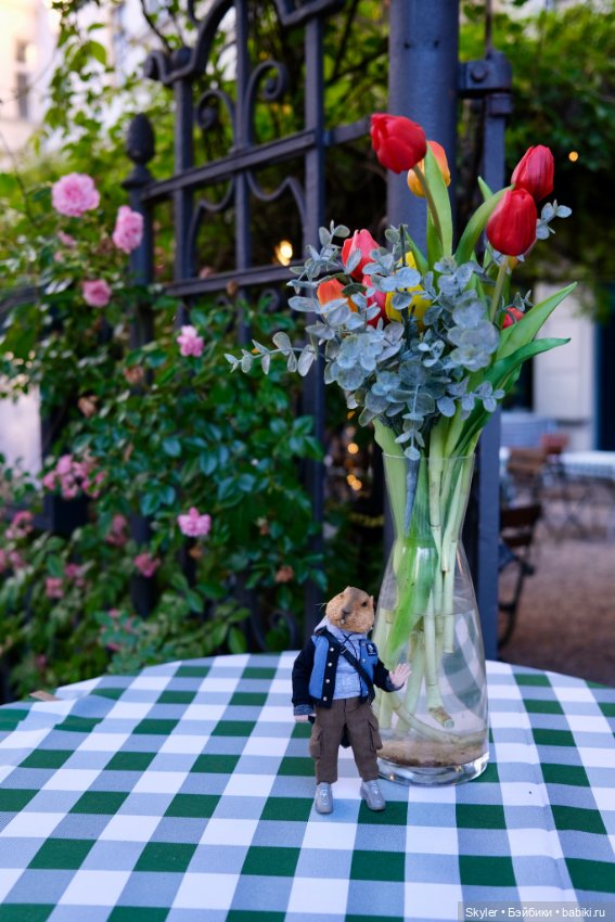 Небольшая вечерняя прогулка с сусликом Поттом☺️