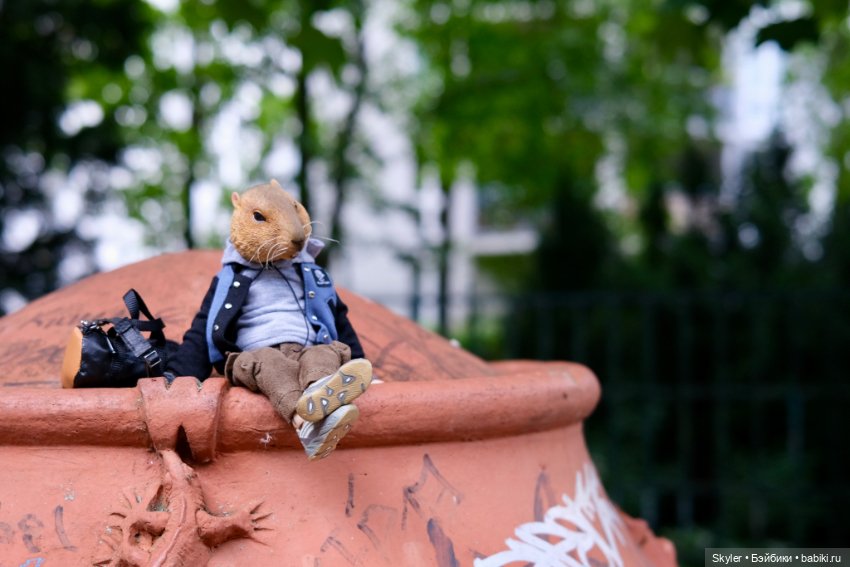 Небольшая вечерняя прогулка с сусликом Поттом☺️