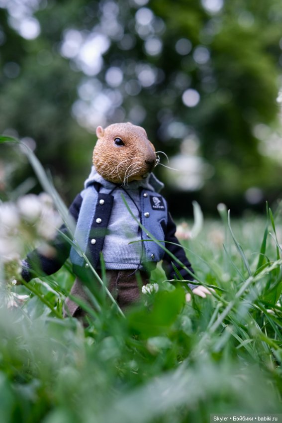 Небольшая вечерняя прогулка с сусликом Поттом☺️