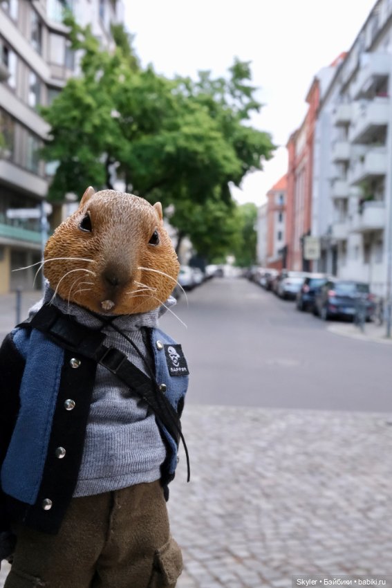 Небольшая вечерняя прогулка с сусликом Поттом☺️