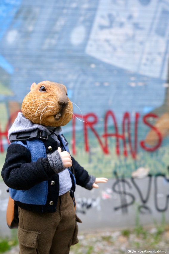 Небольшая вечерняя прогулка с сусликом Поттом☺️ (фото 4)