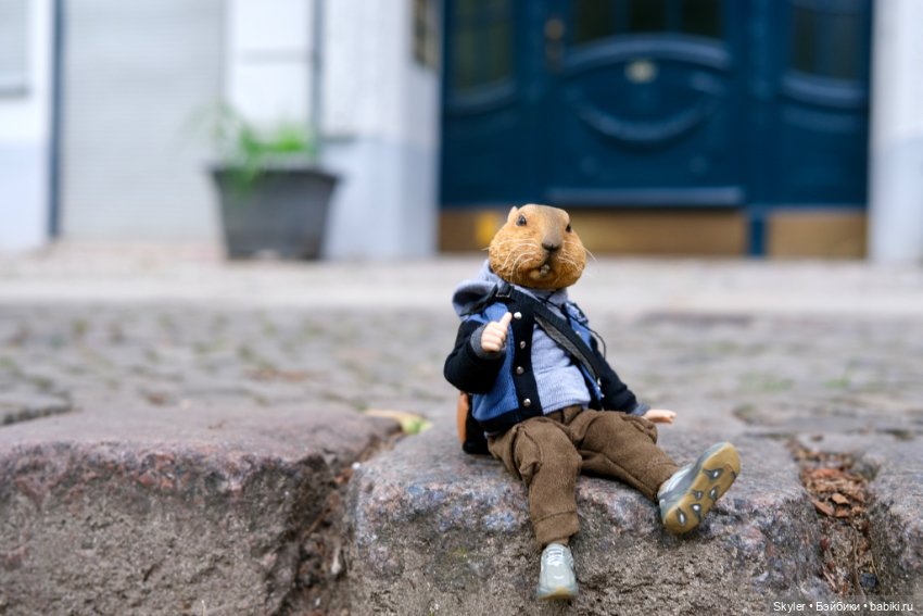 Небольшая вечерняя прогулка с сусликом Поттом☺️ (фото 2)