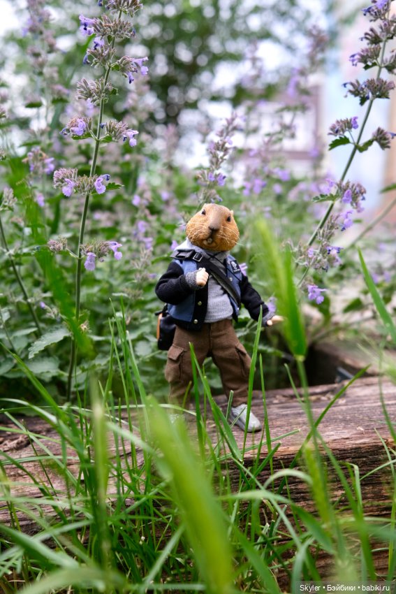 Небольшая вечерняя прогулка с сусликом Поттом☺️ (фото 3)