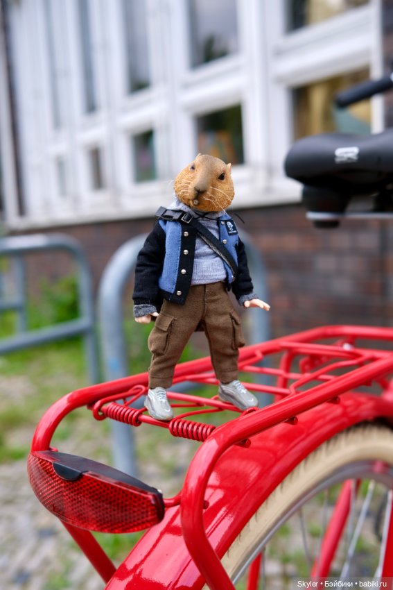 Небольшая вечерняя прогулка с сусликом Поттом☺️ (фото 5)