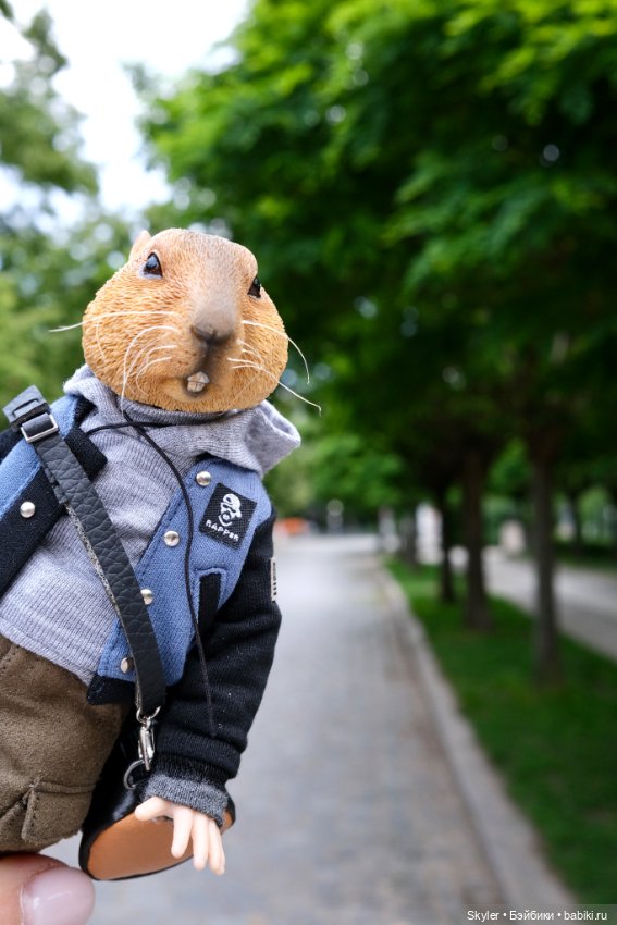 Небольшая вечерняя прогулка с сусликом Поттом☺️ (фото 9)