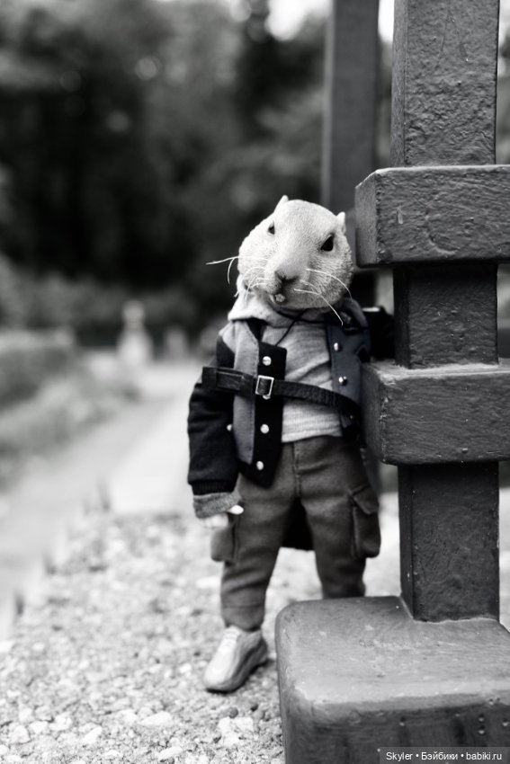 Небольшая вечерняя прогулка с сусликом Поттом☺️ (фото 10)