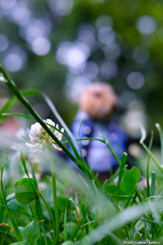 Небольшая вечерняя прогулка с сусликом Поттом☺️