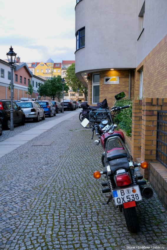 Небольшая вечерняя прогулка с сусликом Поттом☺️