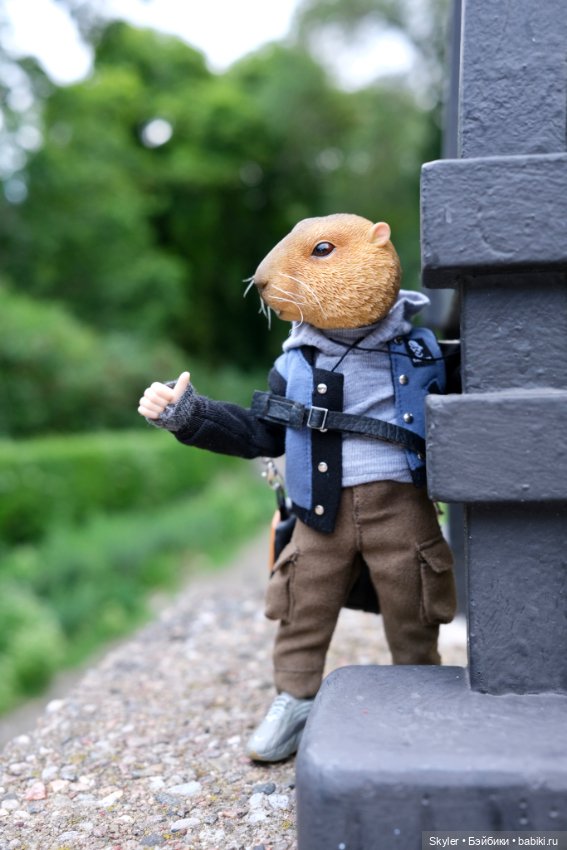 Небольшая вечерняя прогулка с сусликом Поттом☺️