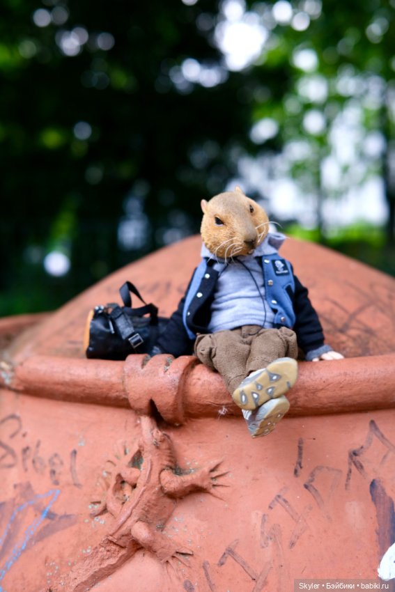 Небольшая вечерняя прогулка с сусликом Поттом☺️