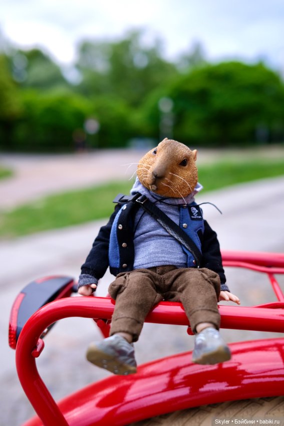 Небольшая вечерняя прогулка с сусликом Поттом☺️ (фото 6)