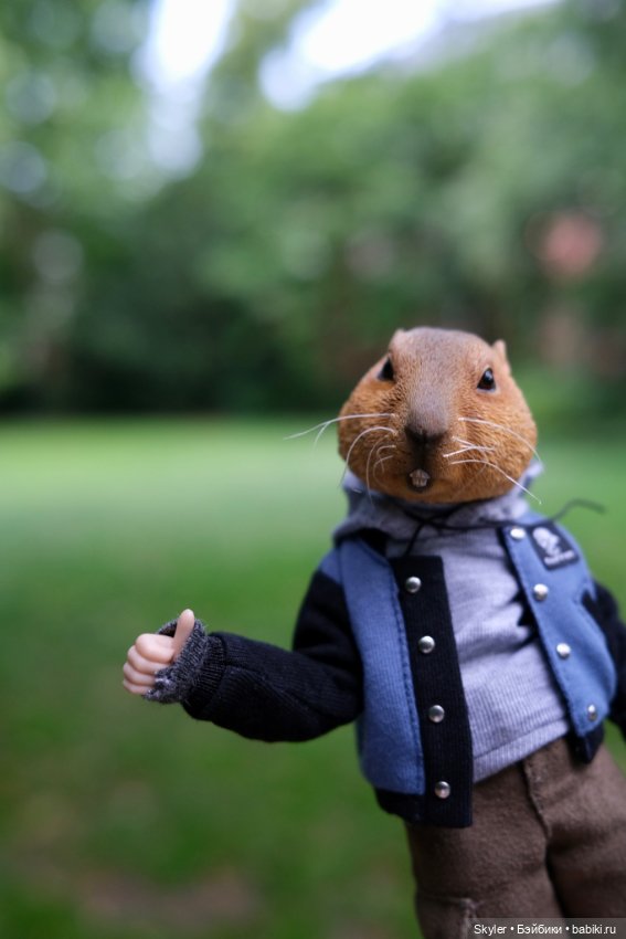 Небольшая вечерняя прогулка с сусликом Поттом☺️