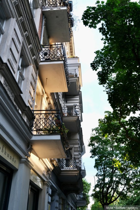 Небольшая вечерняя прогулка с сусликом Поттом☺️