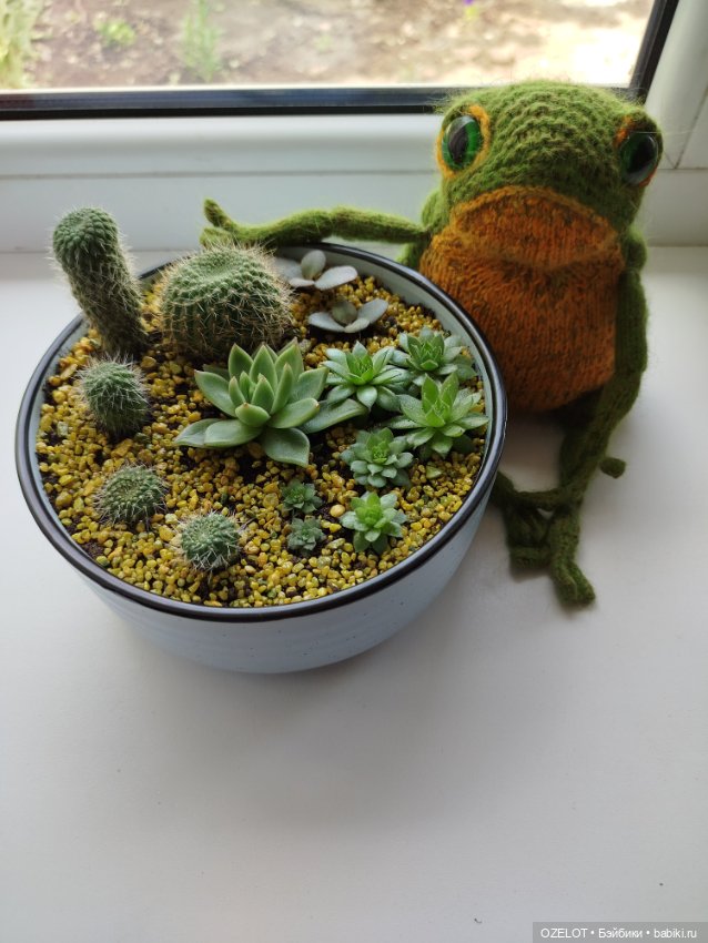 Жабка Пипа — Вязаные игрушки и амигуруми: крючком (фото 5)