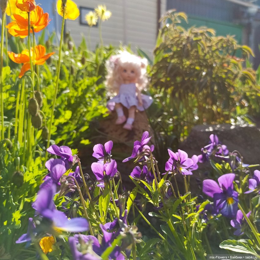 У нас наступило ЛЕТО - прогулка с дюймовочкой Джесси