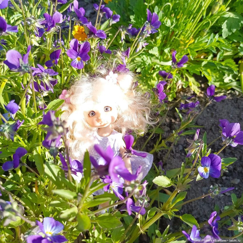 У нас наступило ЛЕТО - прогулка с дюймовочкой Джесси