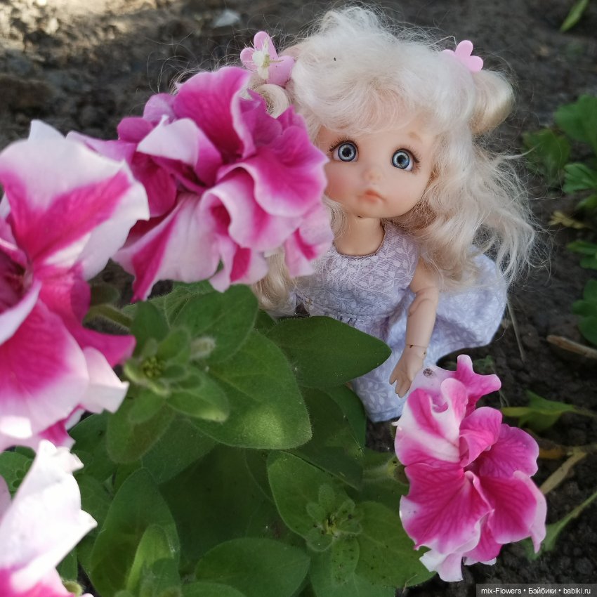 У нас наступило ЛЕТО - прогулка с дюймовочкой Джесси