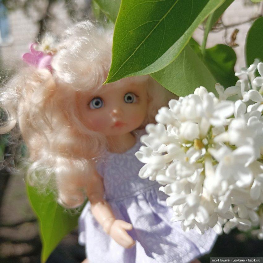 У нас наступило ЛЕТО - прогулка с дюймовочкой Джесси (фото 6)